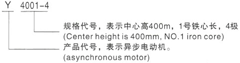 西安泰富西玛Y系列(H355-1000)高压三穗三相异步电机型号说明
